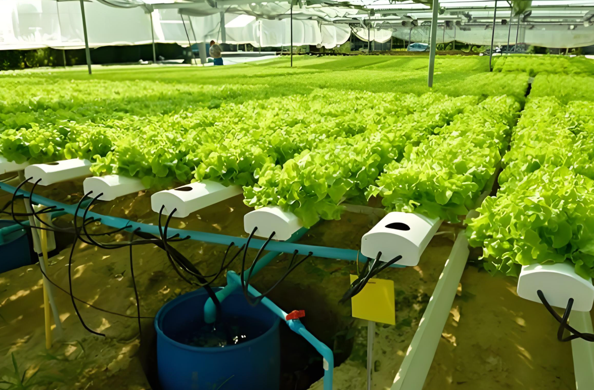 園林灌溉智能化：開(kāi)啟綠色園林新時(shí)代